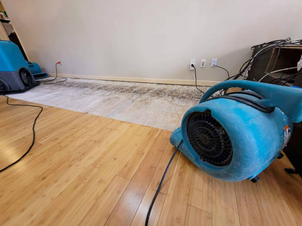Professional Water Extraction technician working in Soudan, MN